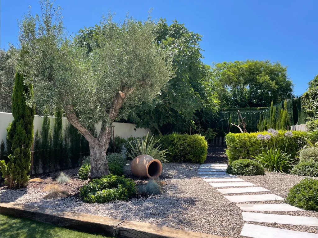 Jardín mediterráneo con olivo · Tarraula
